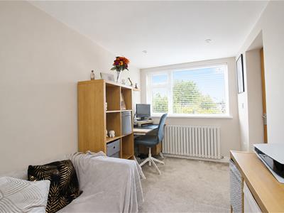 Picture 13